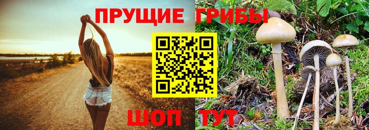 Псилоцибиновые грибы мухоморы Обь