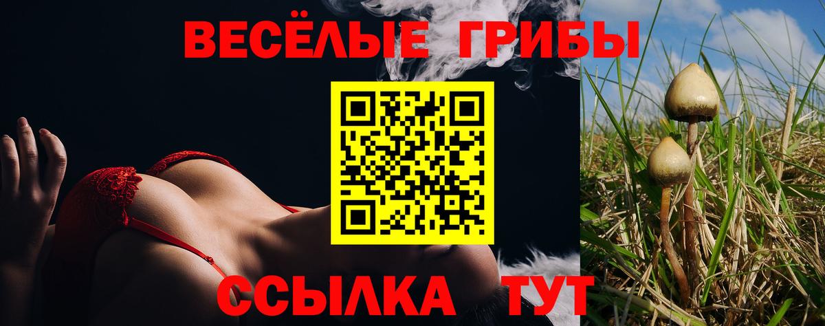 Галлюциногенные грибы прущие грибы  Вход с VPN  Обь 